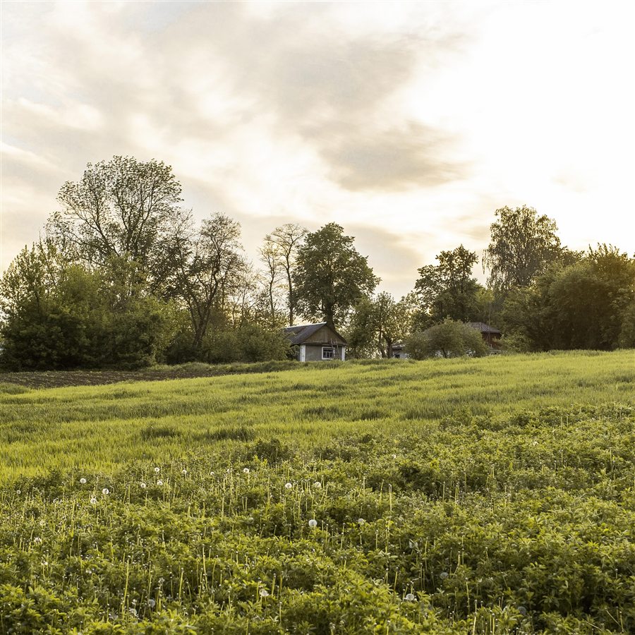 Terreno com campo aberto ao entardecer